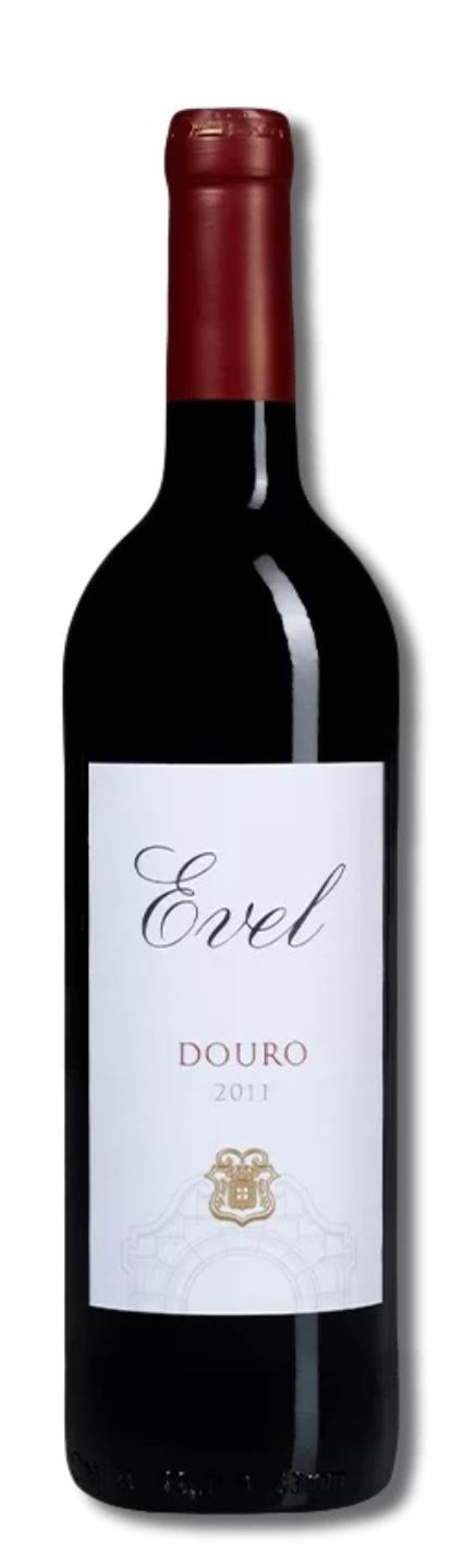 Evel Tinto