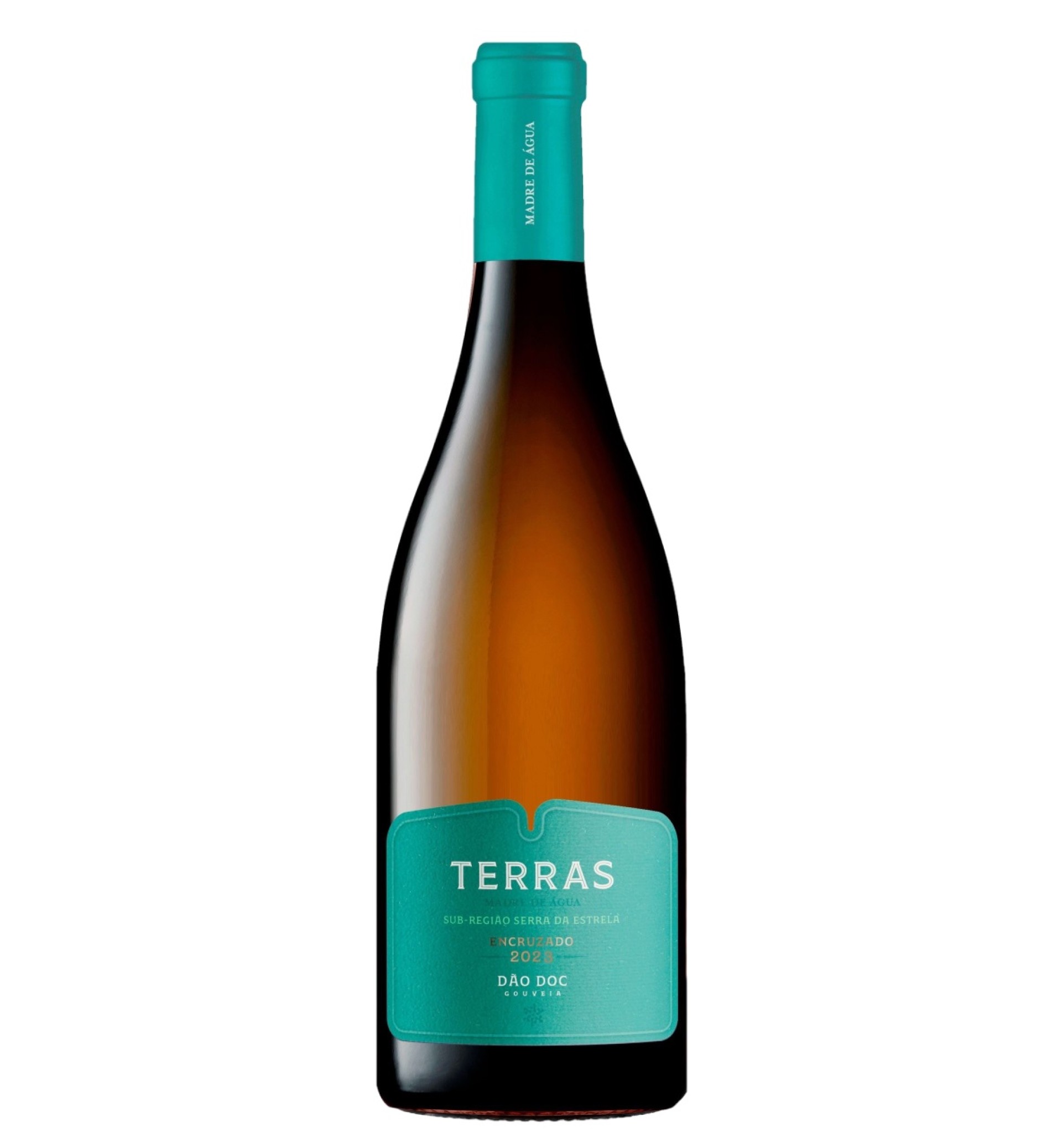 Terras Madre de Água Encruzado