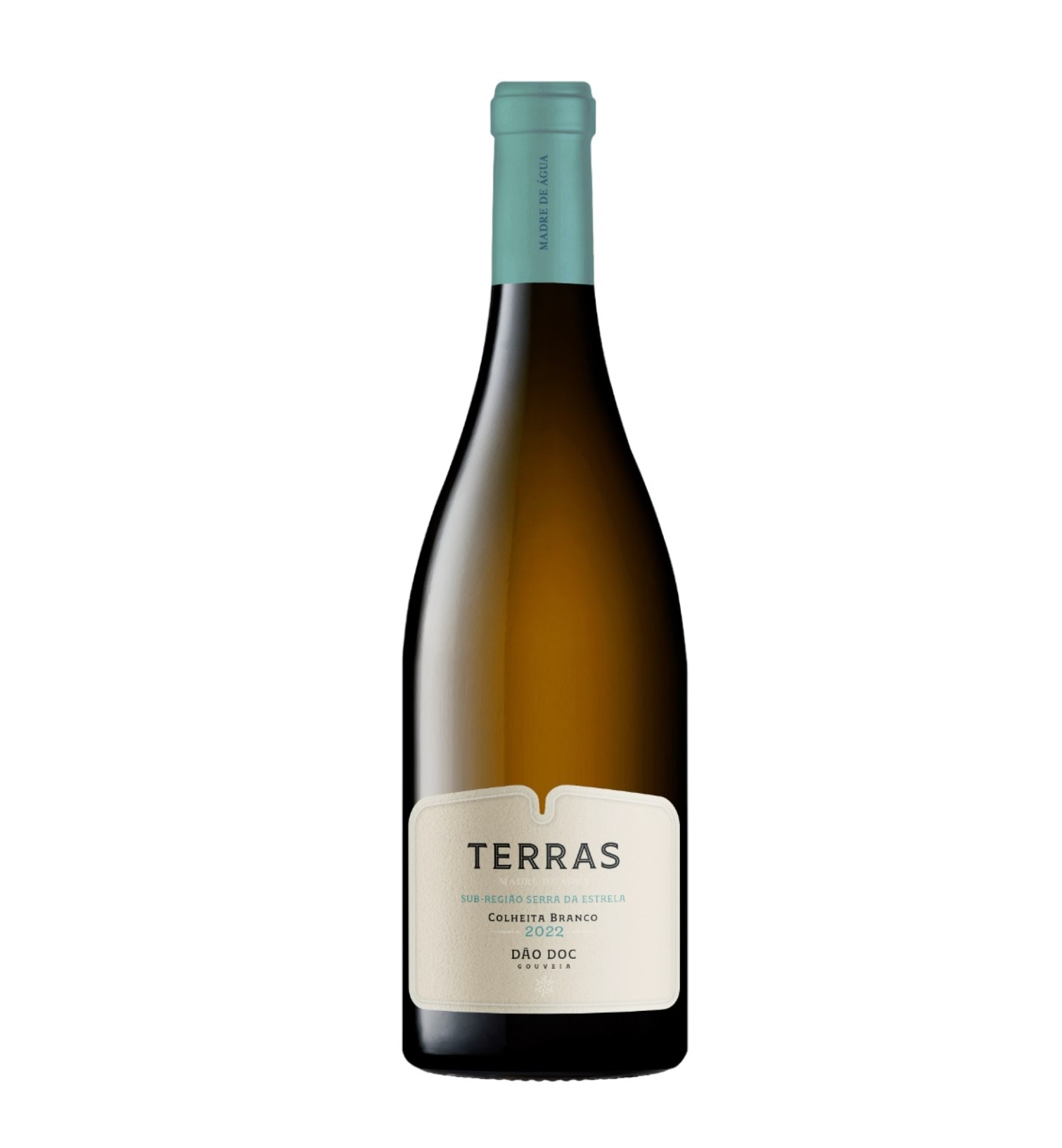 Terras Madre de Água Branco