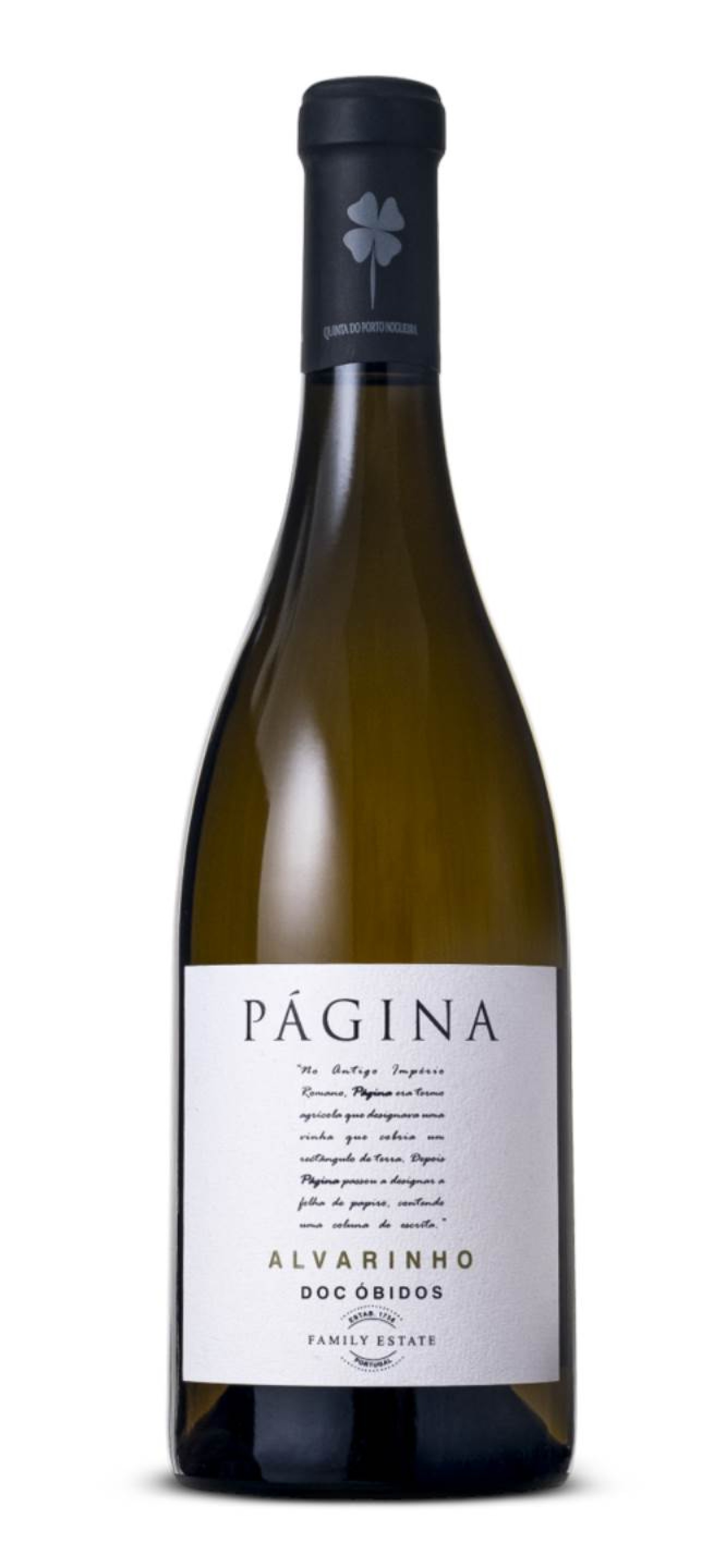 Página Alvarinho