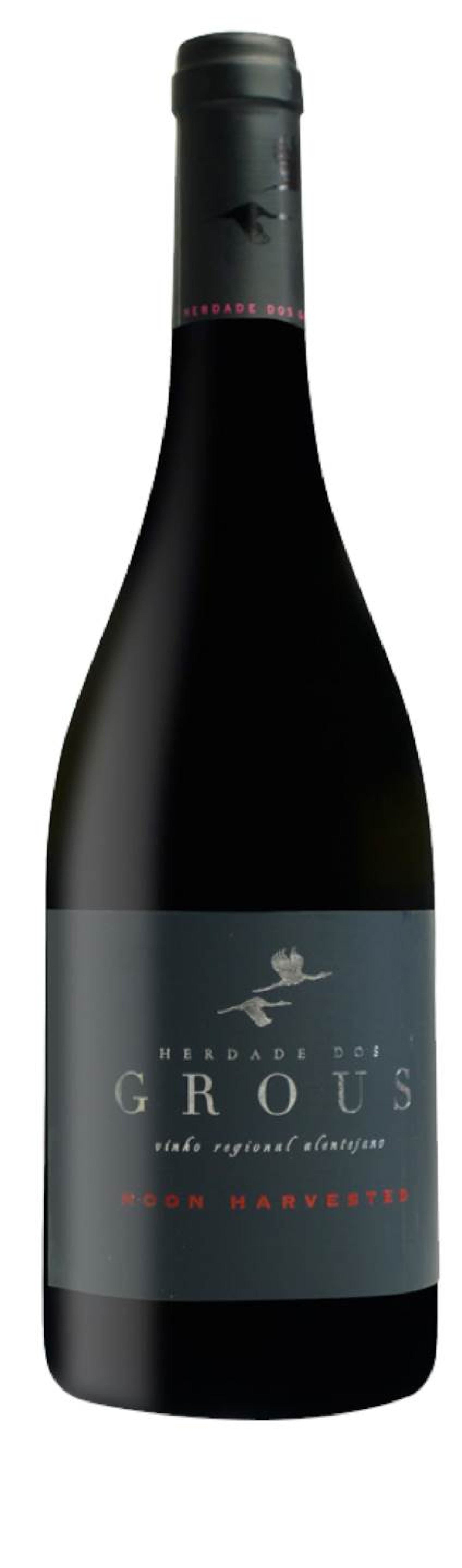 Herdade dos Grous Moon Harvested