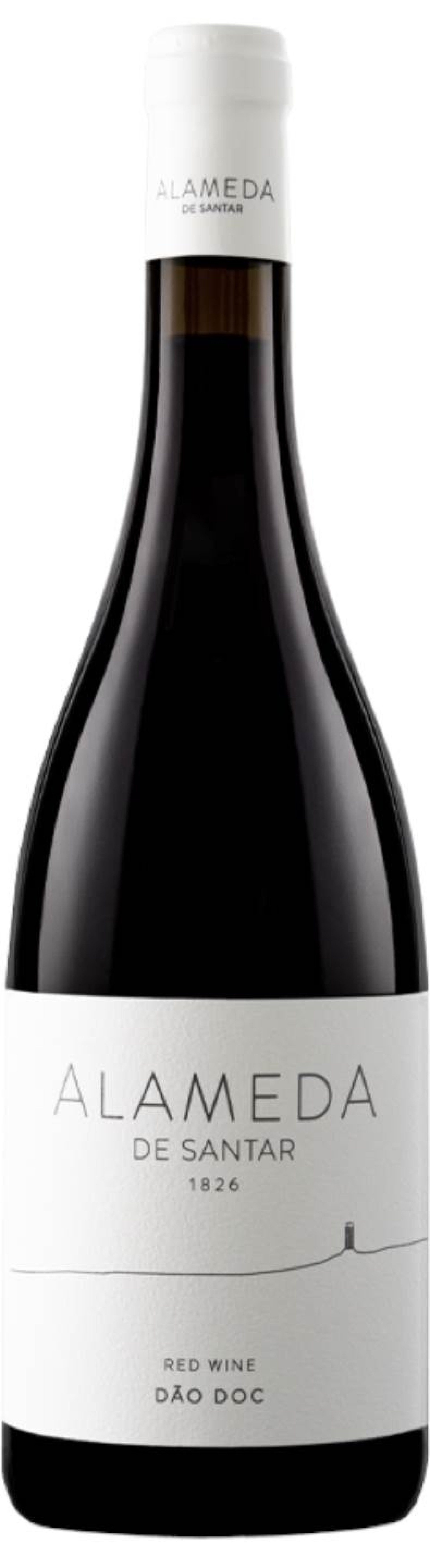 Alameda de Santar Tinto