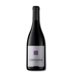 Carvalhas Tinta Francisca