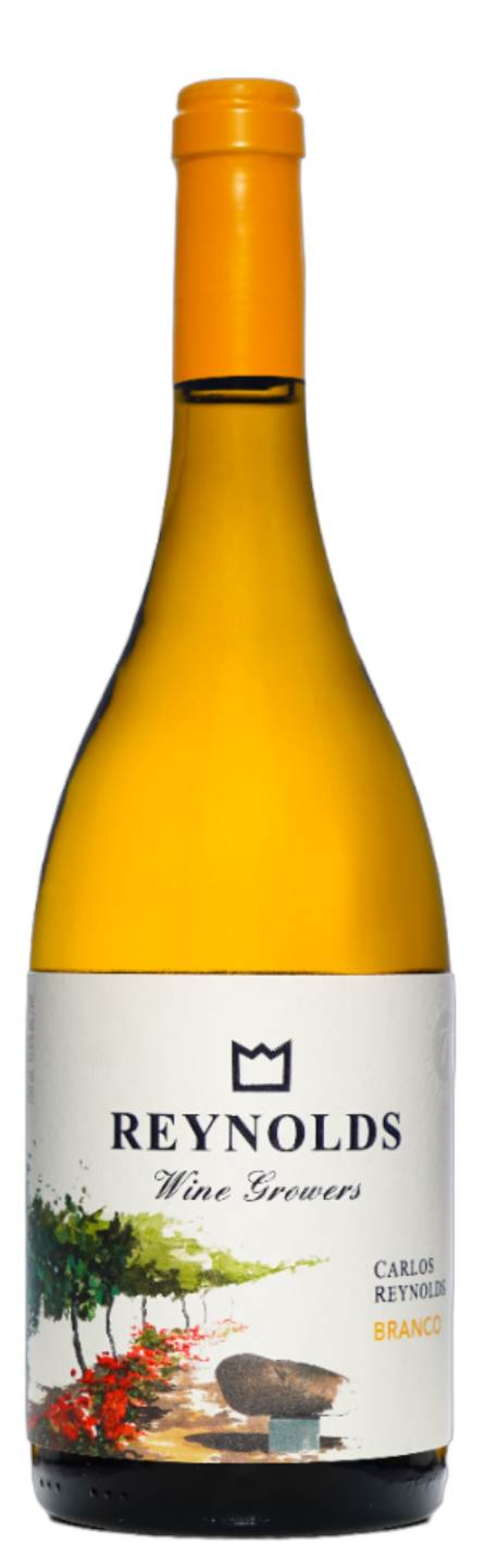 Carlos Reynolds Branco