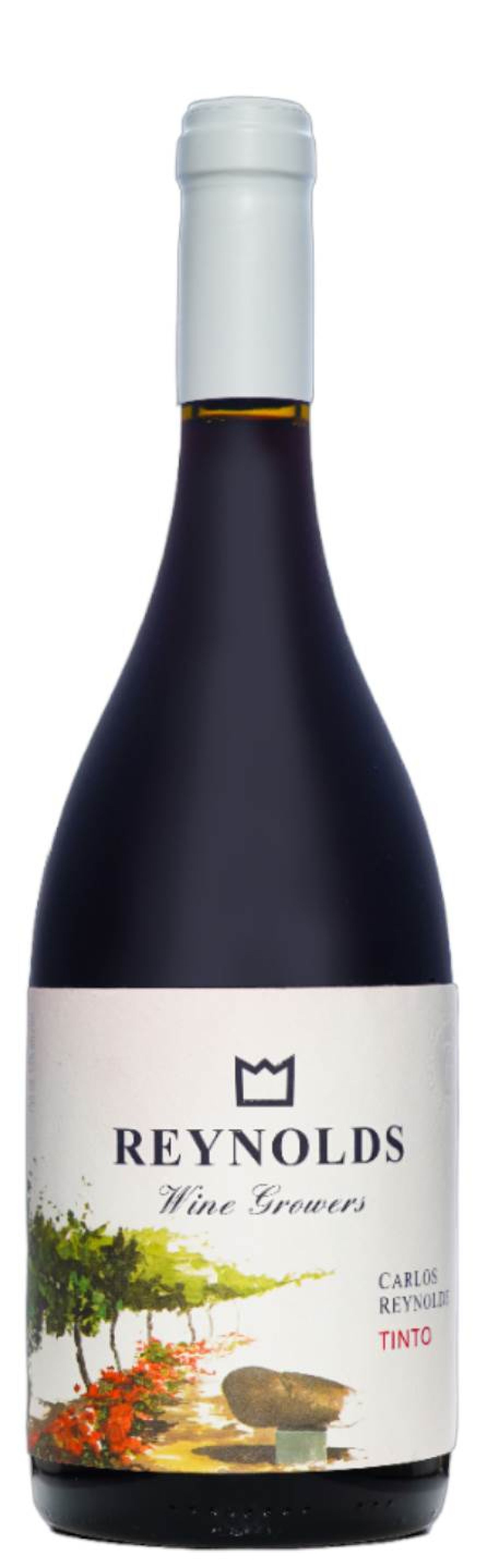 Carlos Reynolds Tinto