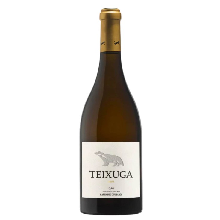 Teixuga Branco
