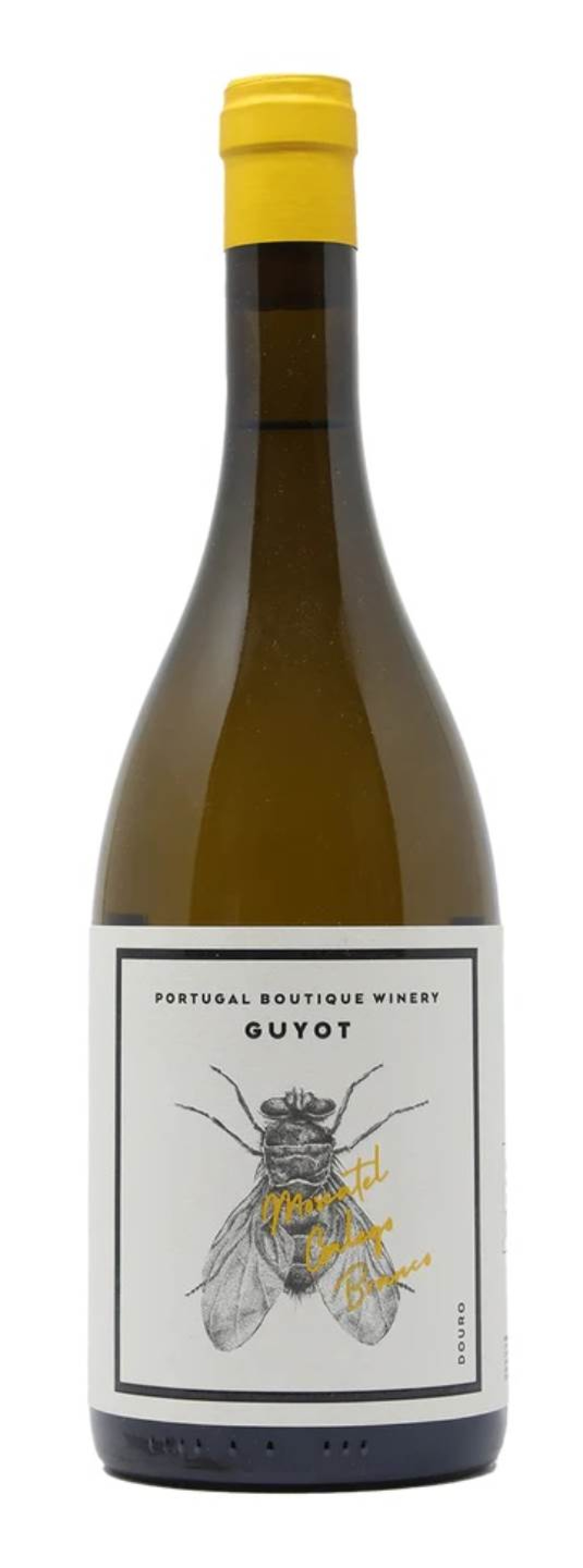 Guyot Moscatel Galego Branco