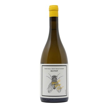 Guyot Moscatel Galego Branco