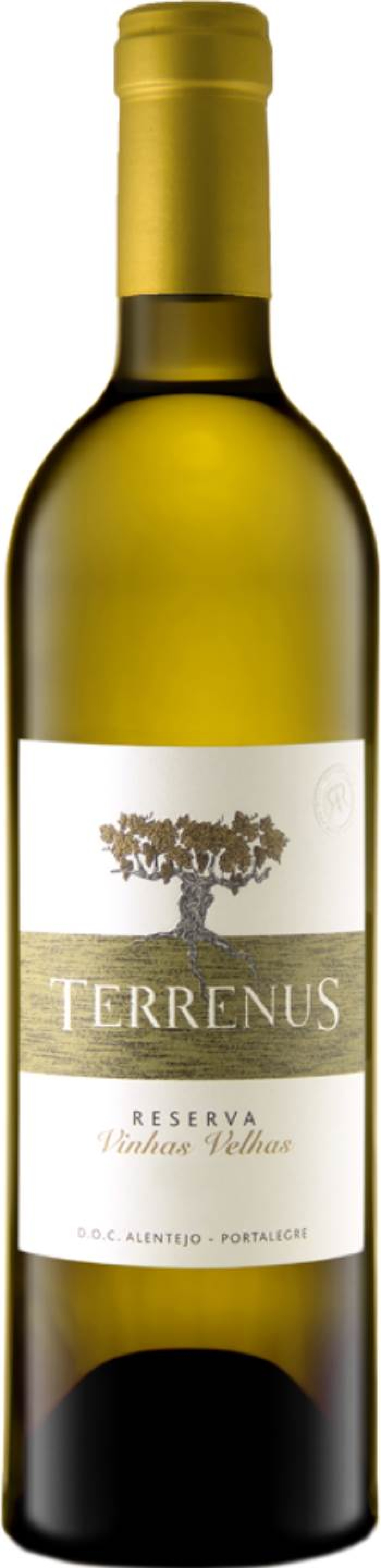 Terrenus Reserva Branco