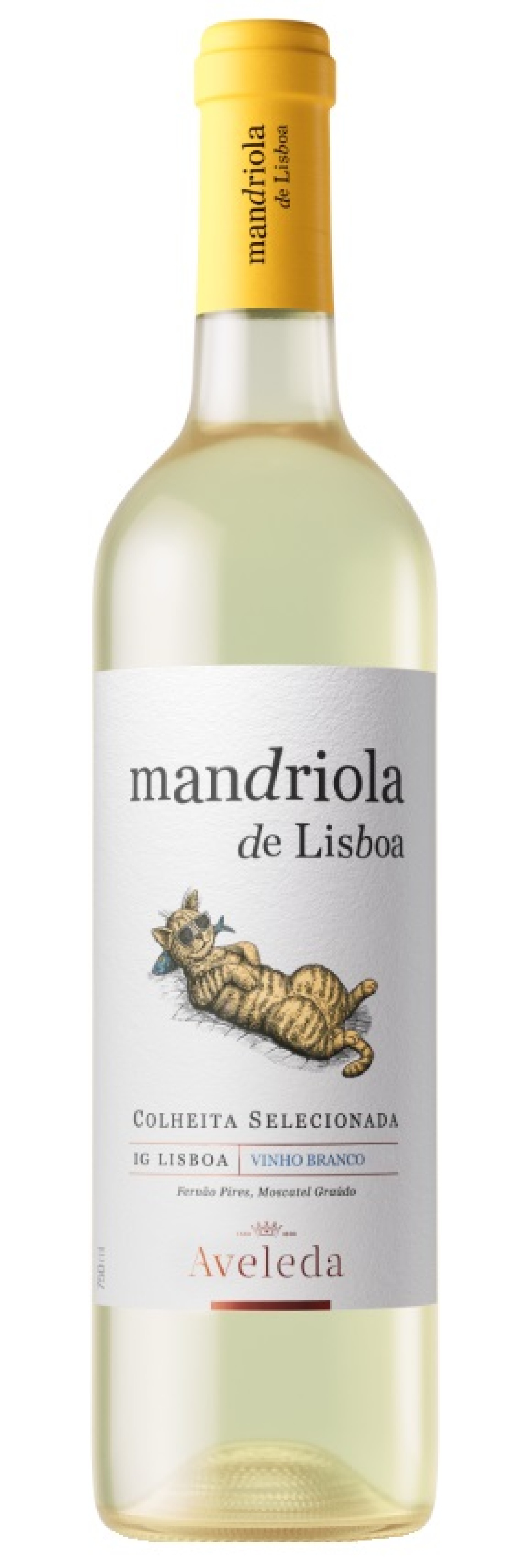 Mandriola de Lisboa Branco