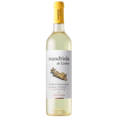 Mandriola de Lisboa Branco