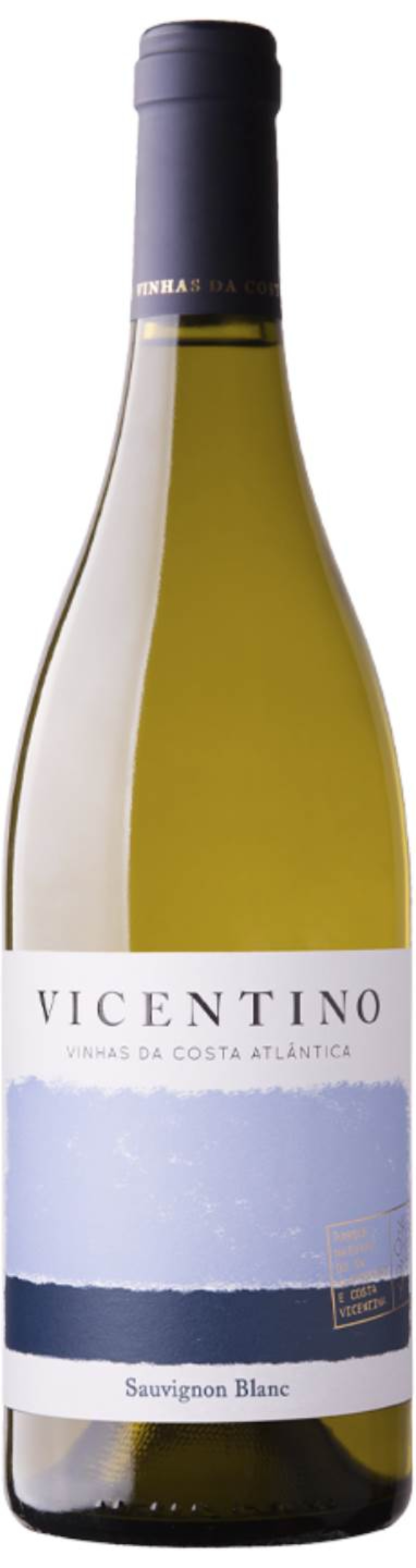 Vicentino Sauvignon Blanc