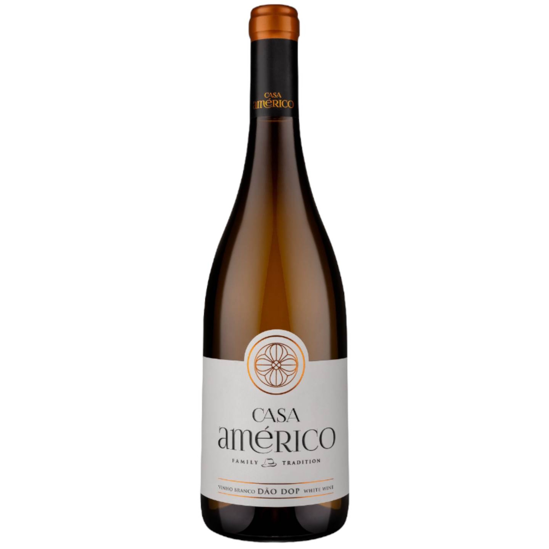 Casa Américo Branco