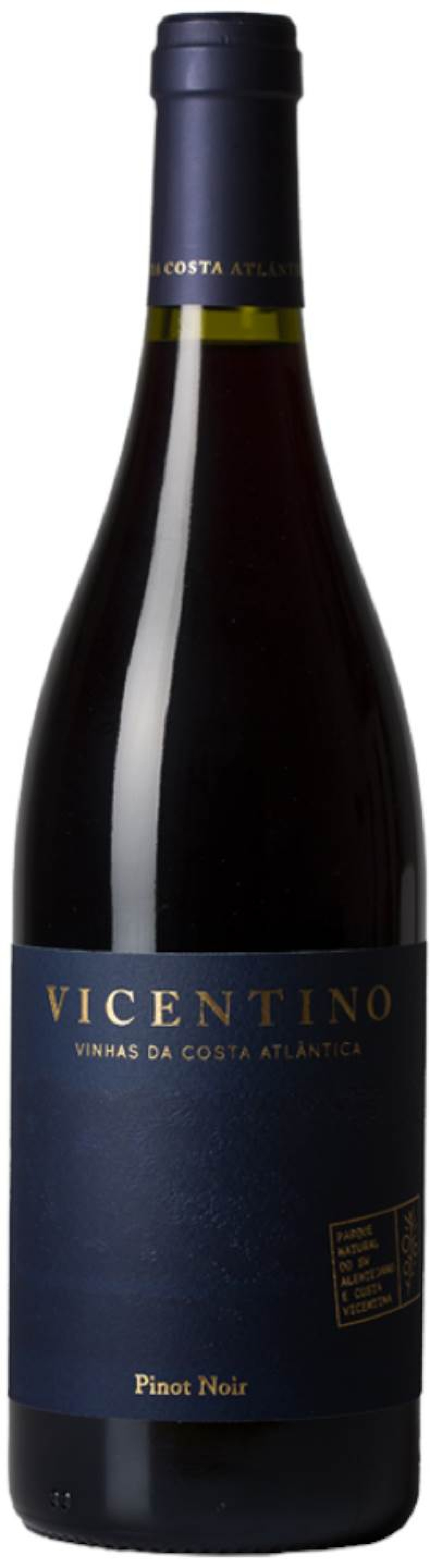 Vicentino Pinot Noir