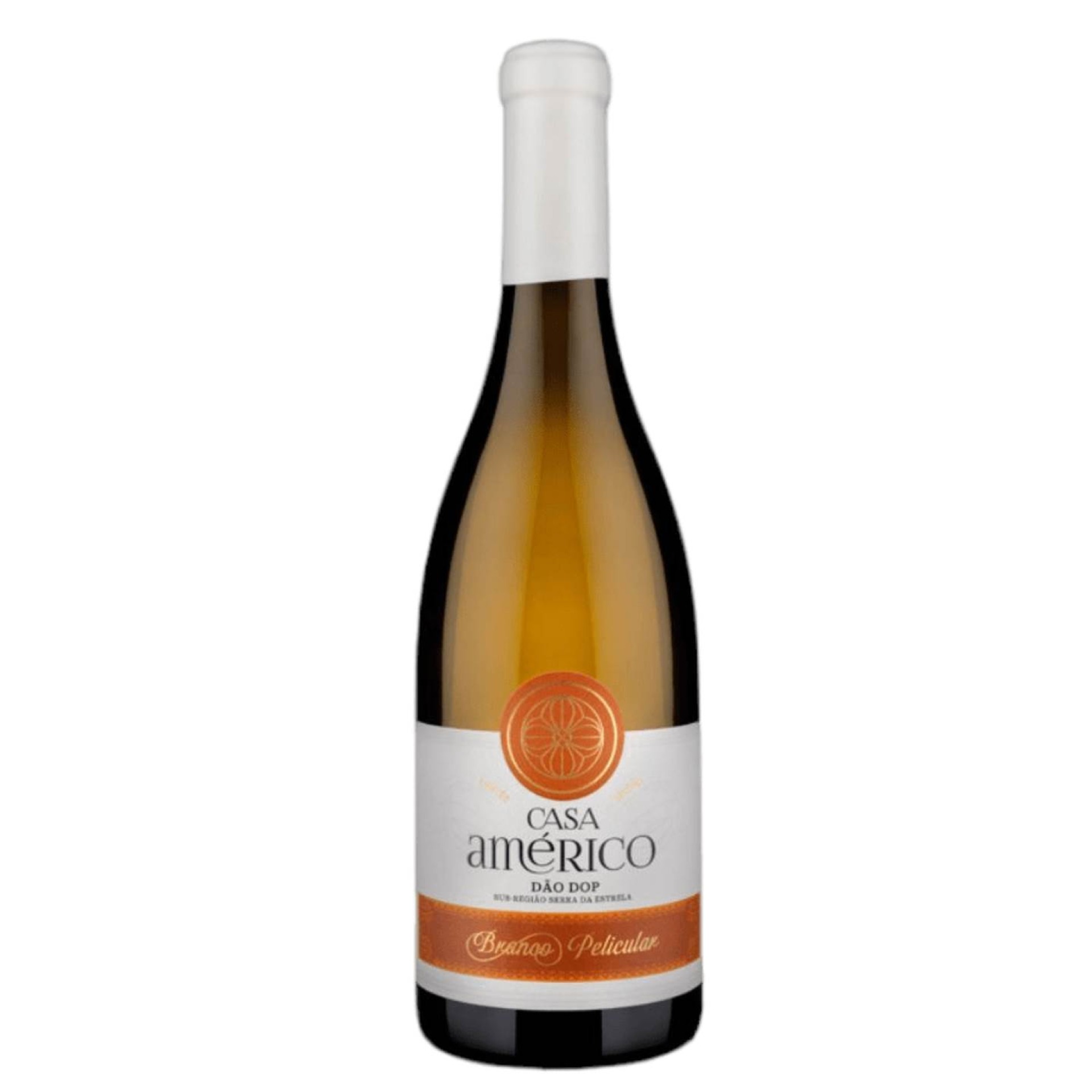 Casa Américo Branco Pelicular