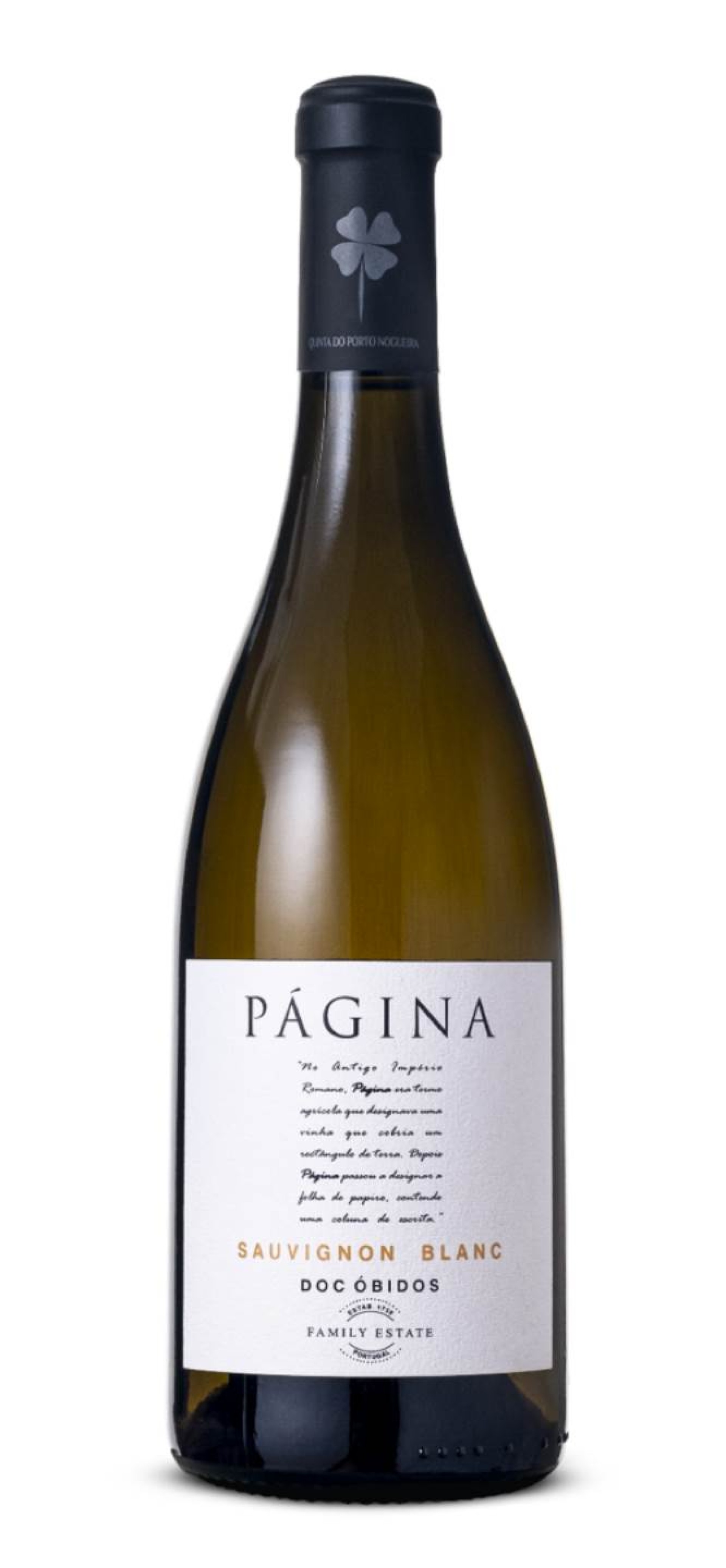 Página Sauvignon Blanc