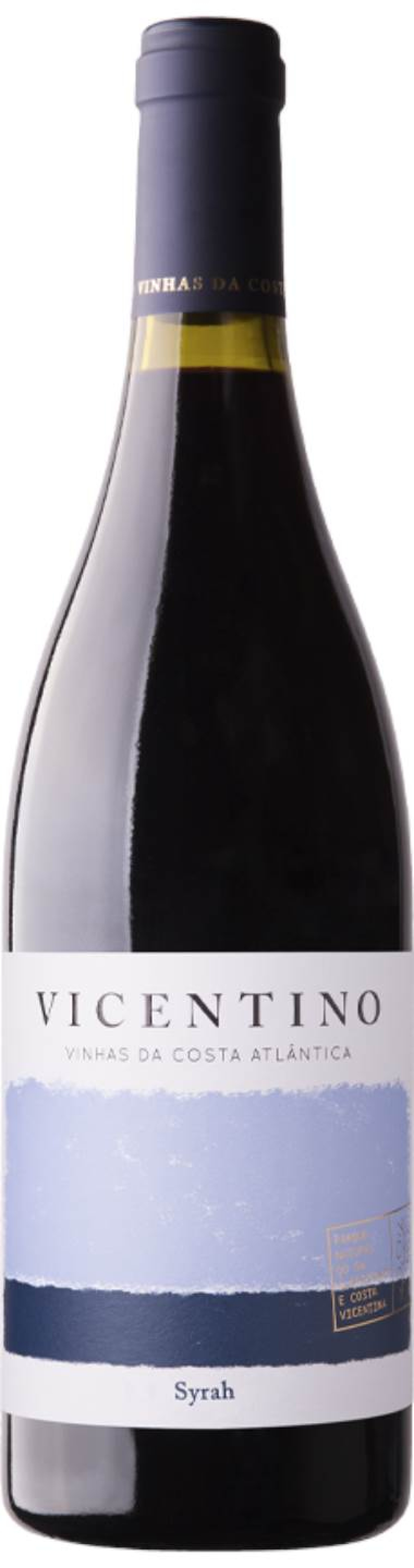 Vicentino Syrah