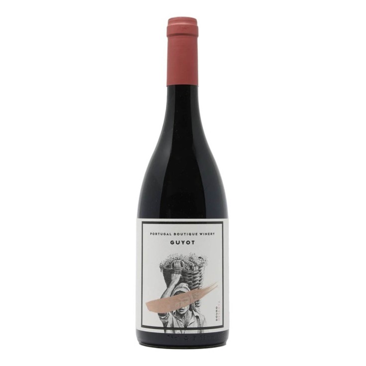 Guyot Tinto