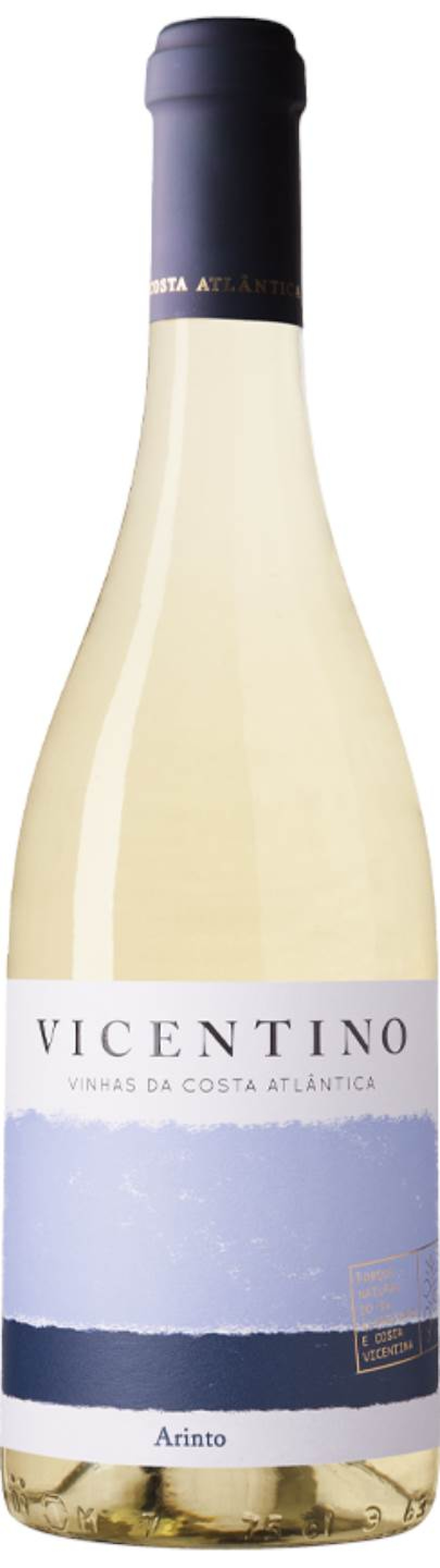 Vicentino Arinto