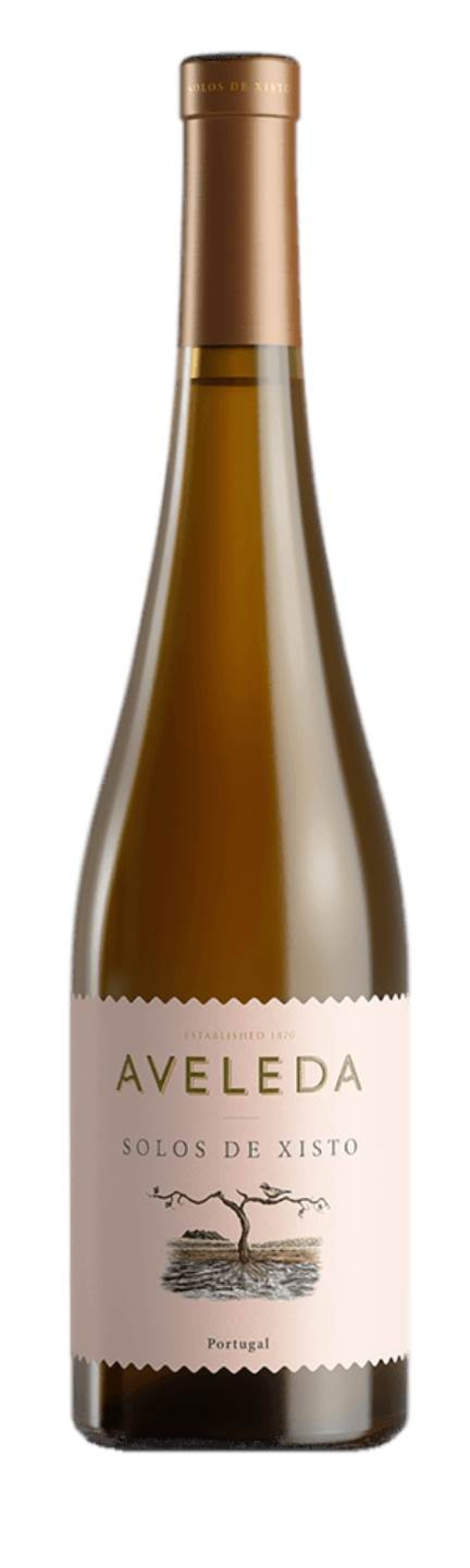 Aveleda Solos de Xisto