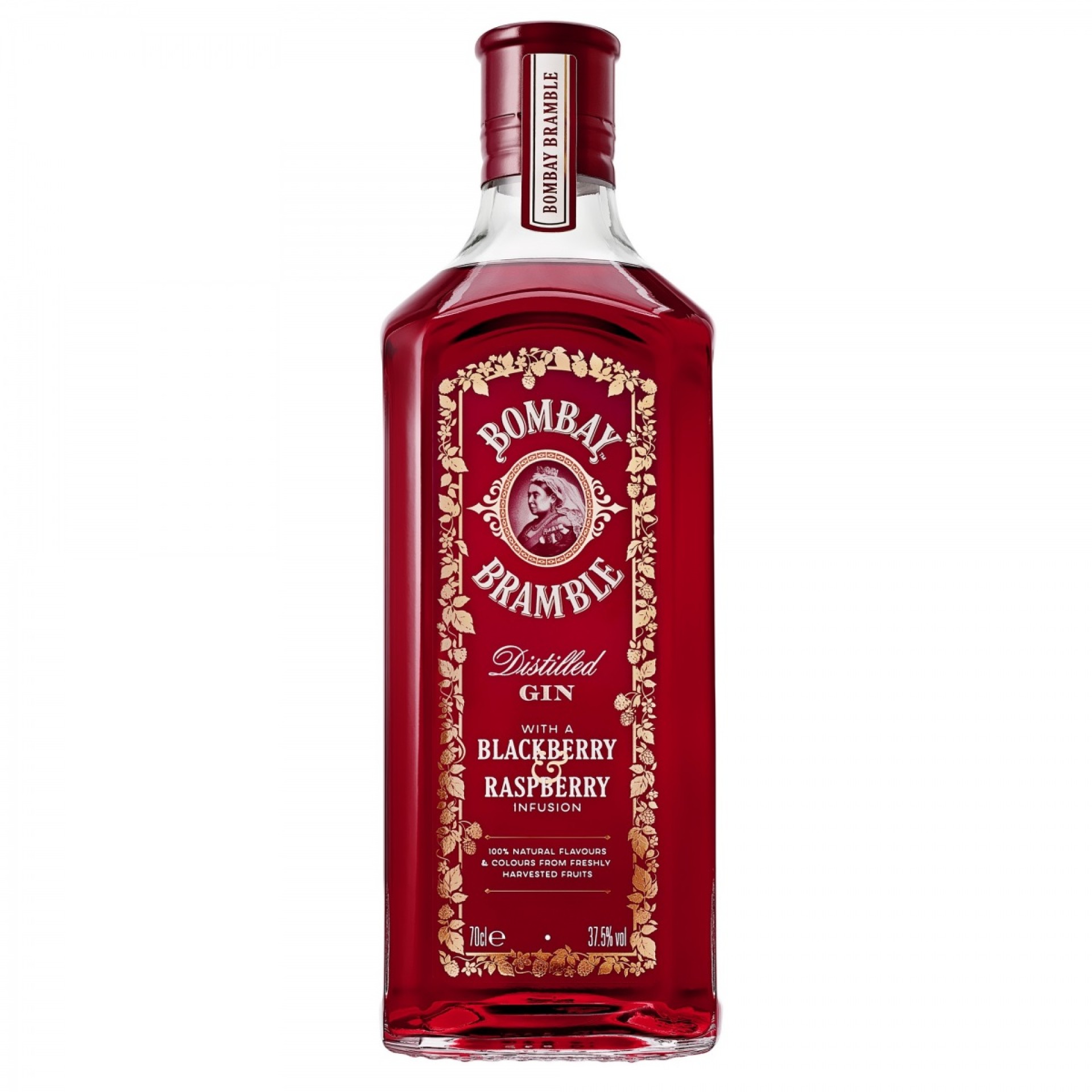 Bombay Bramble