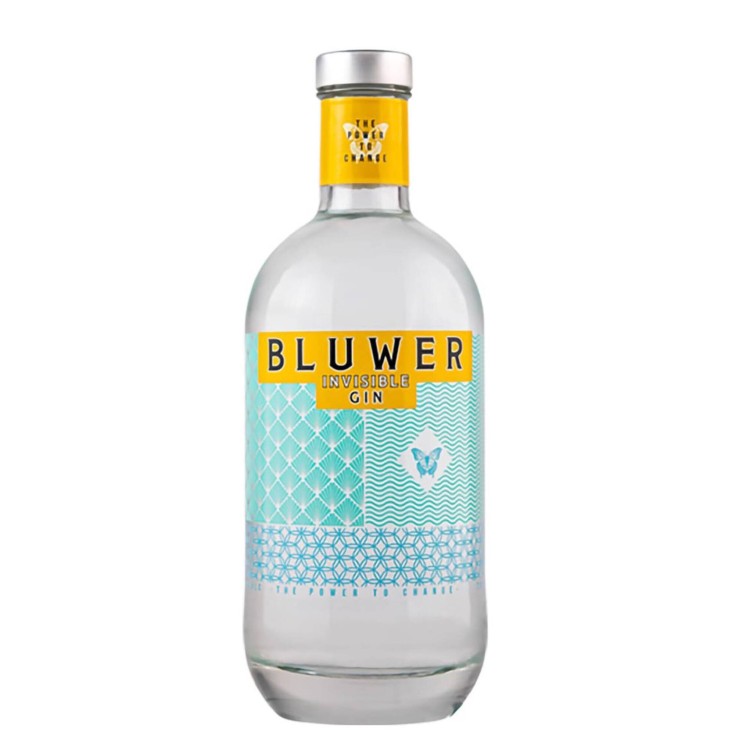 Bluwer Invisible