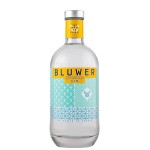 Bluwer Invisible