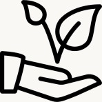Viticultura Sustentvel