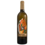 Q. LAB Orange Wine - Curtimenta